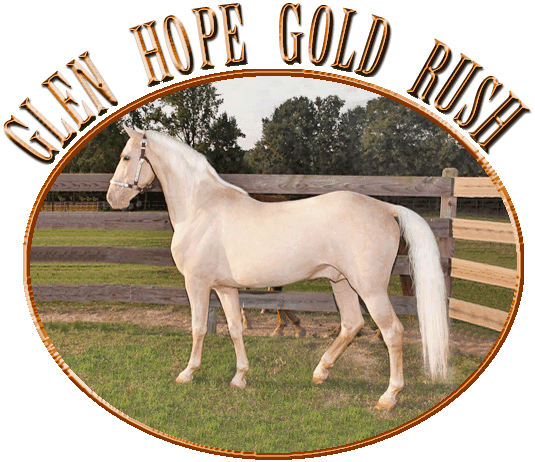At Stud, Glen Hope Gold Rush