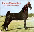 Ebony Masterpiece