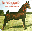 Sun's Delight D.