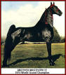 Another Masterpiece - 1974 World Grand Champion