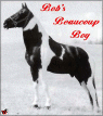 Bob's Beaucoup Boy