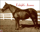 Delight's Joanna