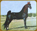 Ebony Masterpiece - 1962 World Grand Champion