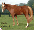 Final's Goldwell