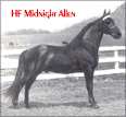 H.F. Midnight Allen