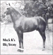 Mack K's Big Story