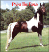 Paint The Town