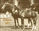 Princess Allen
