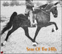 Star Of The Hills
