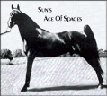 Sun's Ace Of Spades